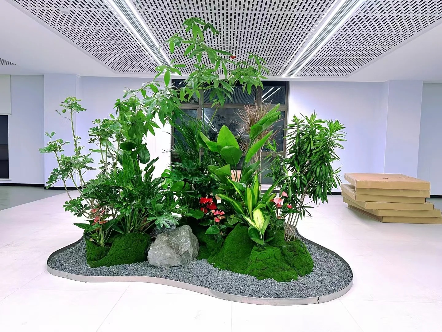 了解宁波奉化植物租摆价格，装点美好空间！